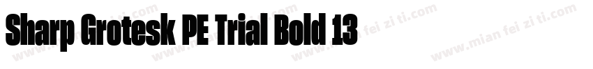 Sharp Grotesk PE Trial Bold 13字体转换